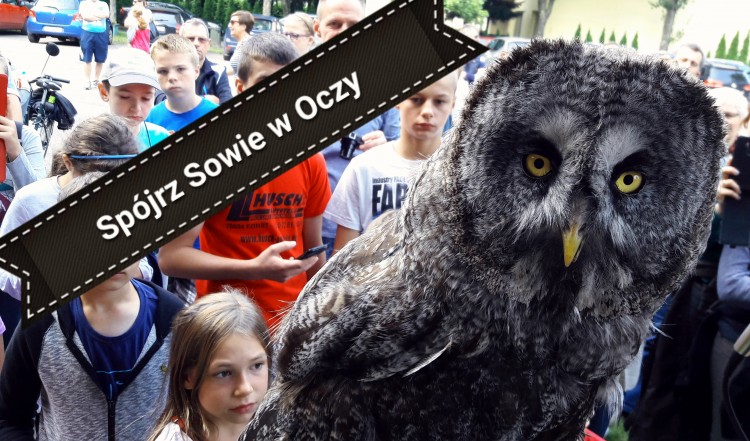 Co mówi sowie spojrzenie? III Happening przyrodniczy w Malborku – 09.09.2017