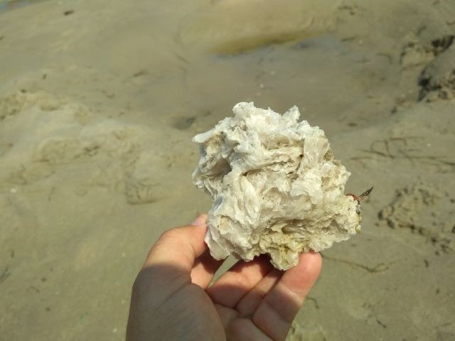 Junoszyno: Bryły wosku na plaży - relacja widza.